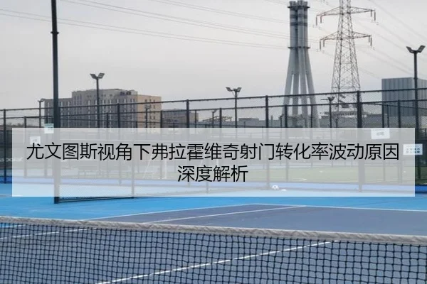 尤文图斯视角下弗拉霍维奇射门转化率波动原因深度解析